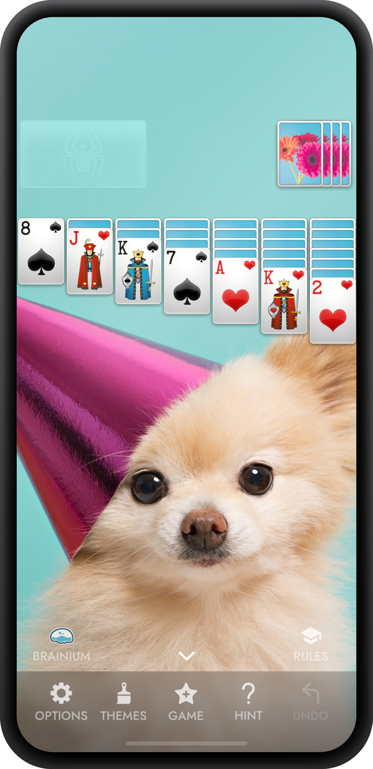 brainium spider solitaire free download